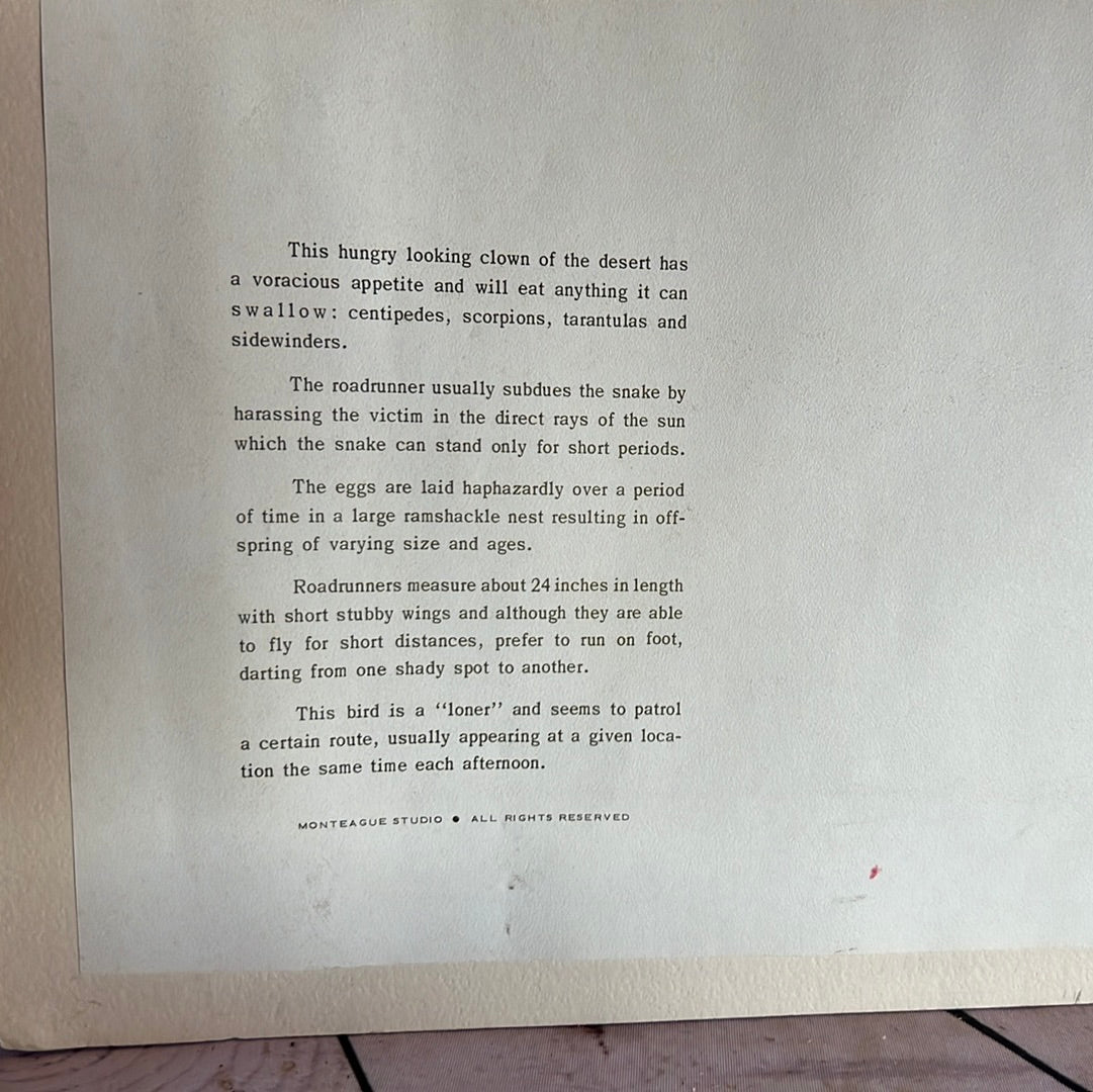 “Roadrunner” by Monteague