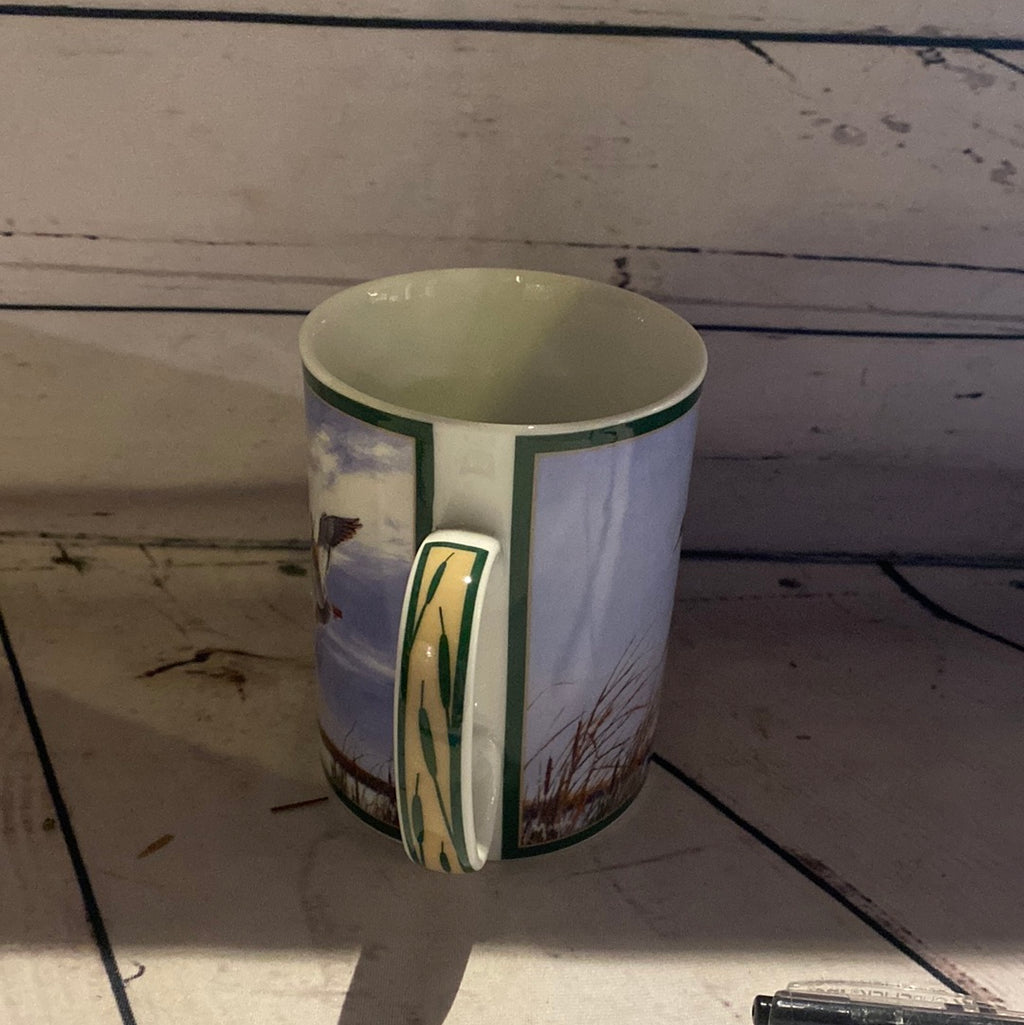 Ducks of North America Collectors Mug
