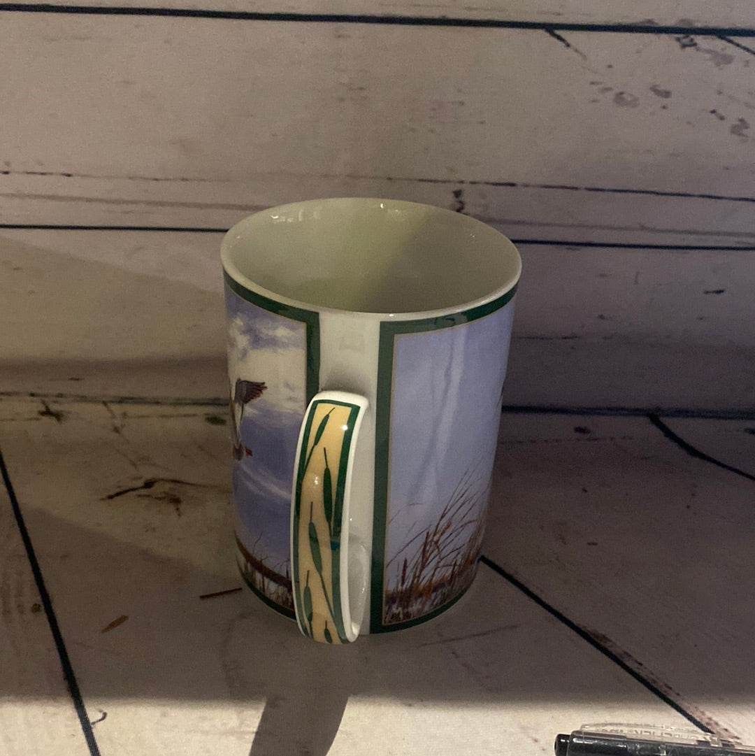 Ducks of North America Collectors Mug