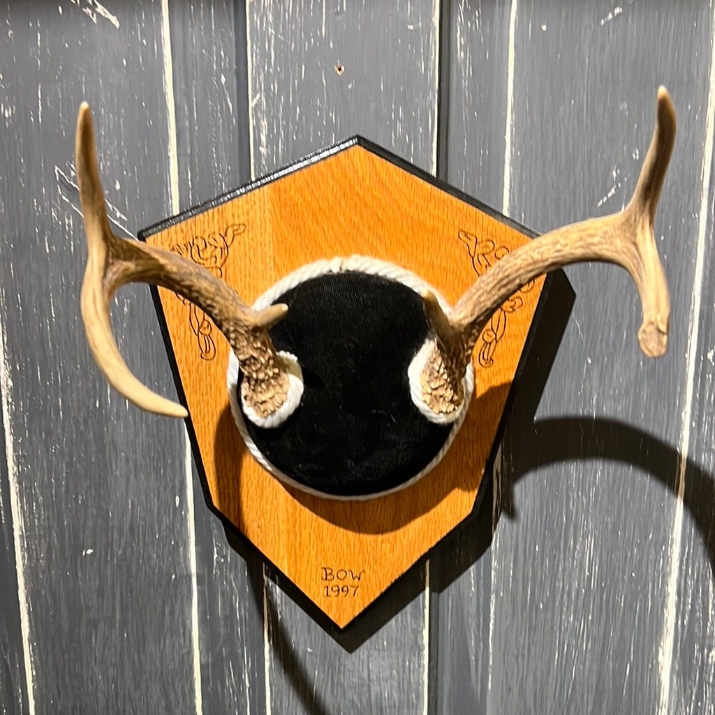 Deer Antlers