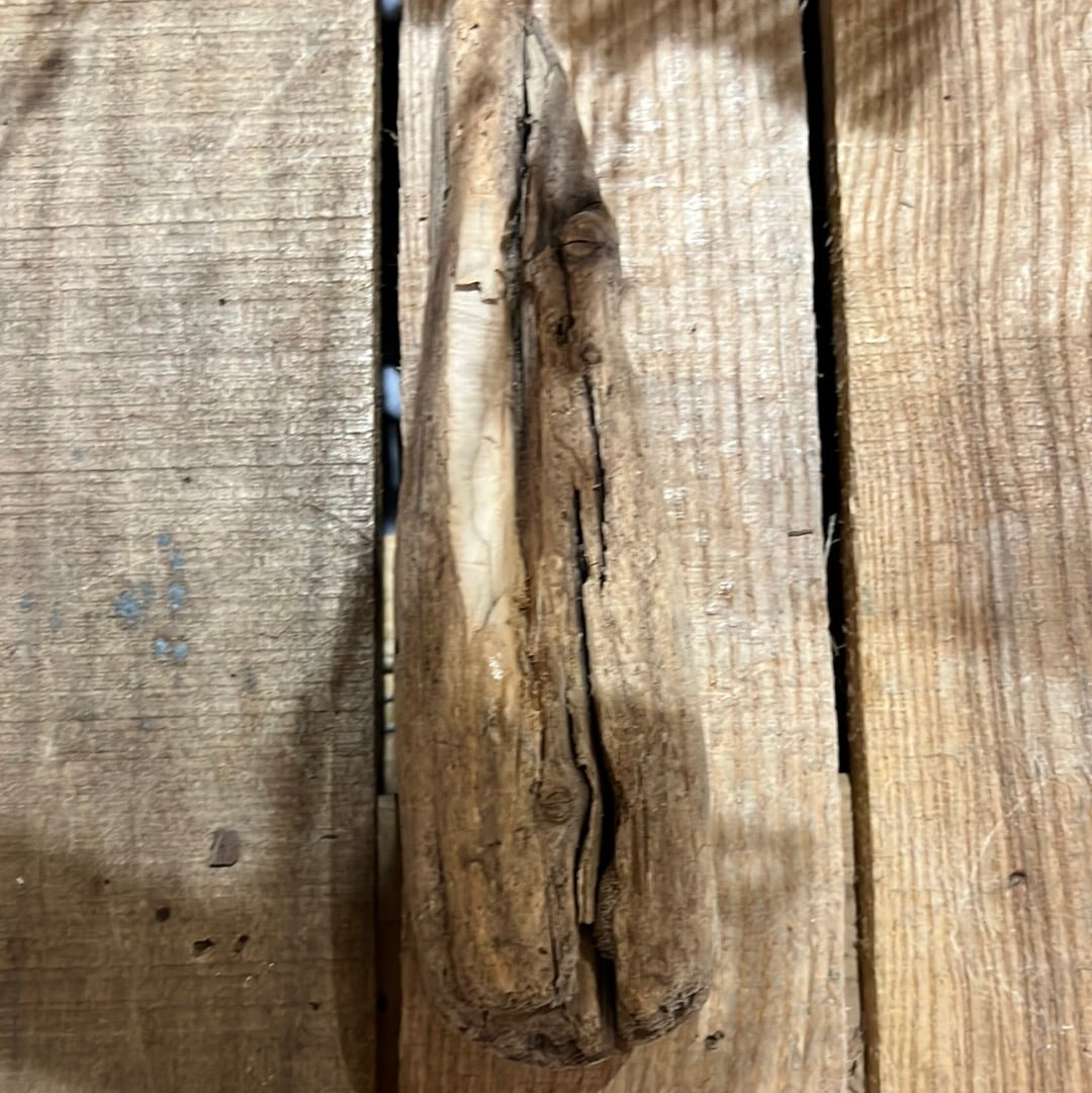 Small Drift Wood