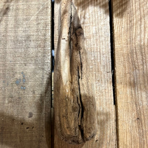 Small Drift Wood