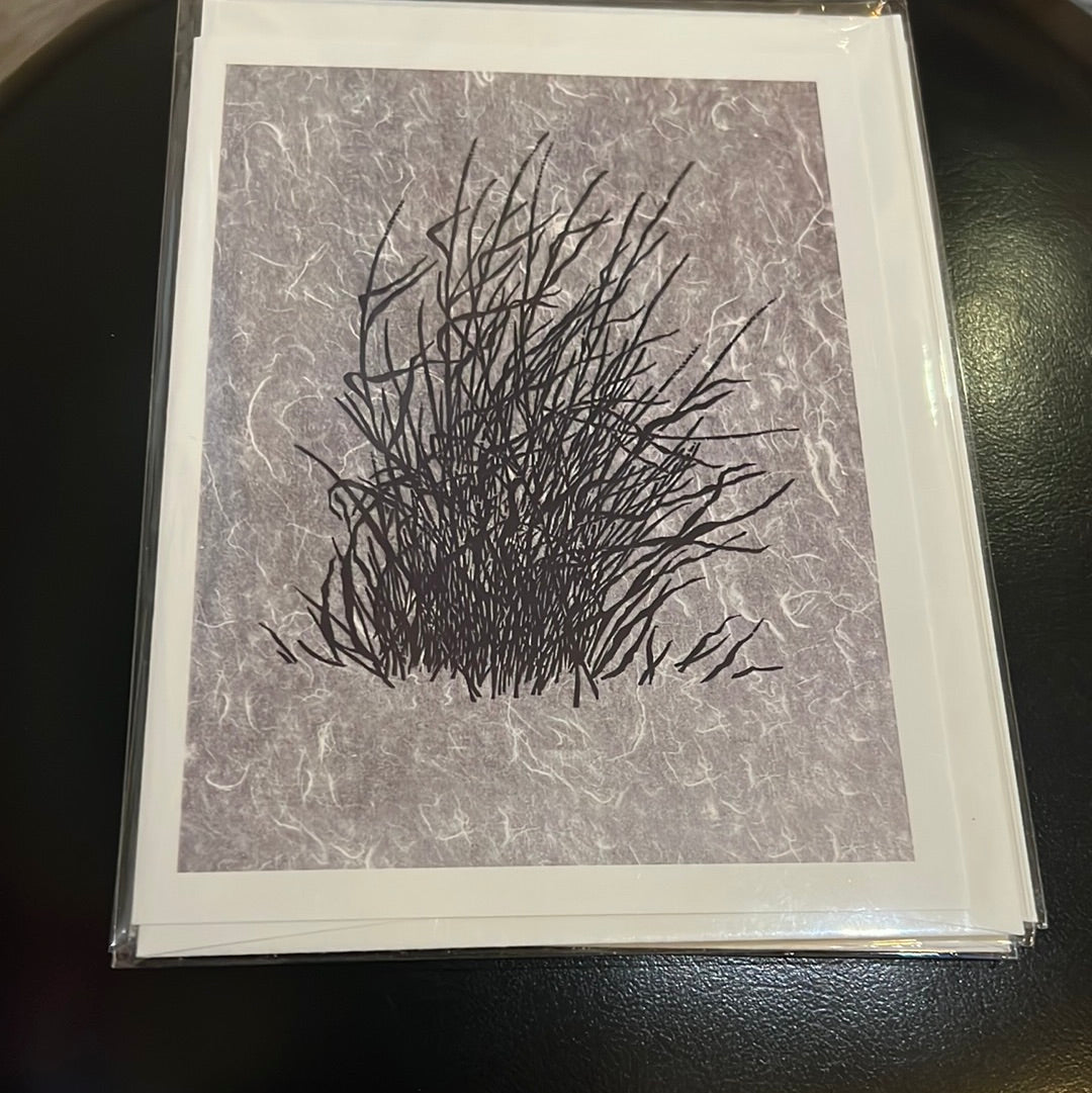 Shamrock Fine Art Post Cards