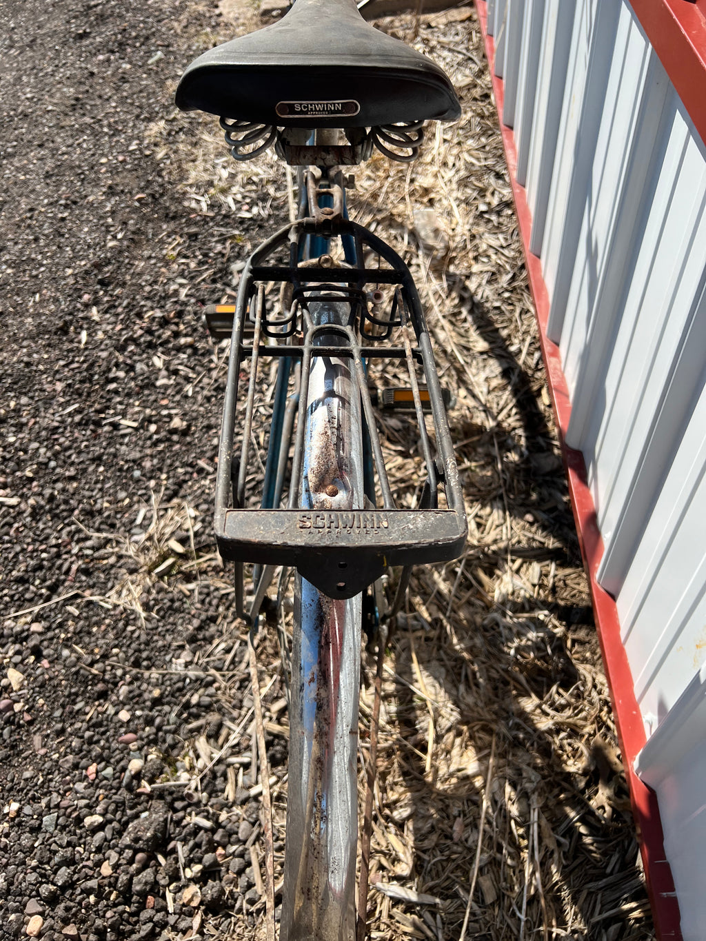 Schwinn Colgate Bike