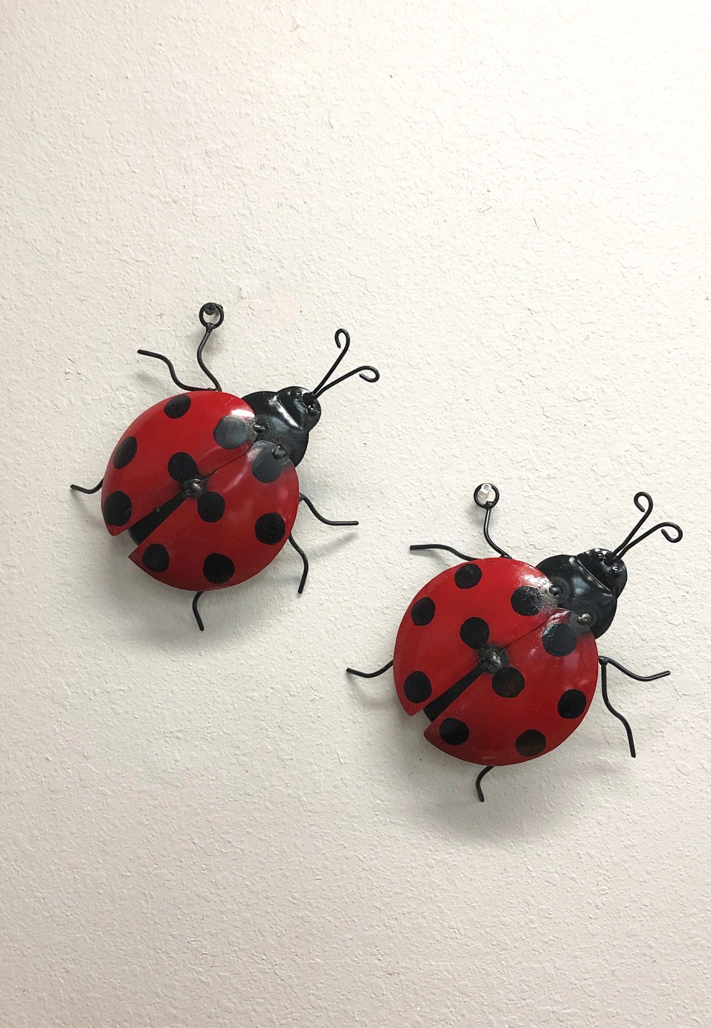 Lady Bugs